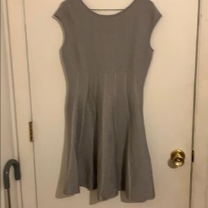 Ann Taylor petite dress